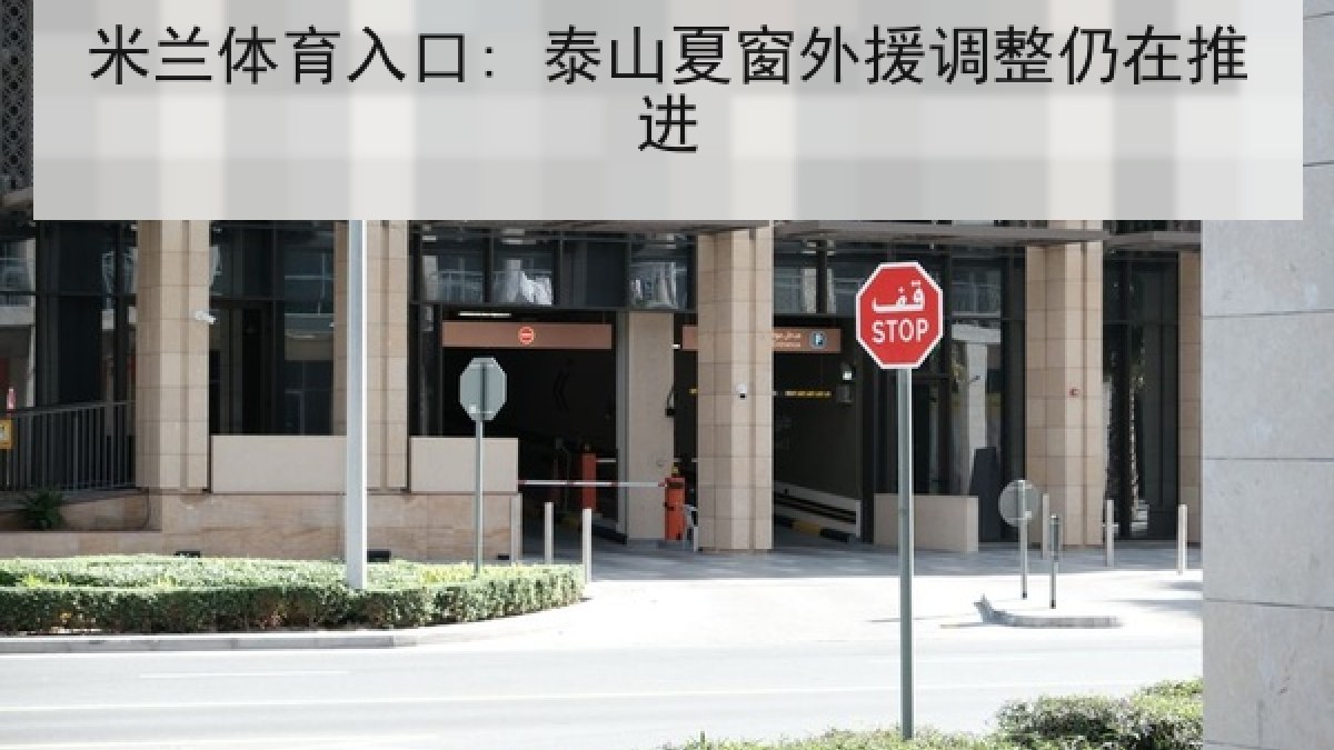 米兰体育入口: 泰山夏窗外援调整仍在推进