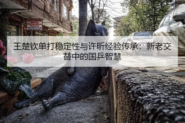 wang-chu-qin-dan-da-wen-ding-xing-yu-xu-xin-jing-yan-chuan-cheng-xin-lao-jiao-ti-zhong-de-guo-ping-zhi-hui-2-790.jpg