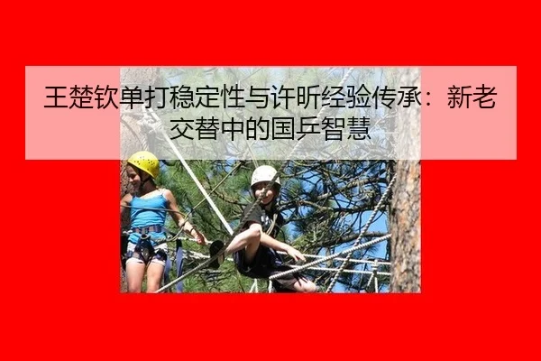 wang-chu-qin-dan-da-wen-ding-xing-yu-xu-xin-jing-yan-chuan-cheng-xin-lao-jiao-ti-zhong-de-guo-ping-zhi-hui-3-363.jpg
