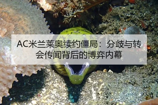 mi-lan-lai-ao-xu-yue-jiang-ju-fen-qi-yu-zhuan-hui-chuan-wen-bei-hou-de-bo-yi-nei-mu-2-503.jpg