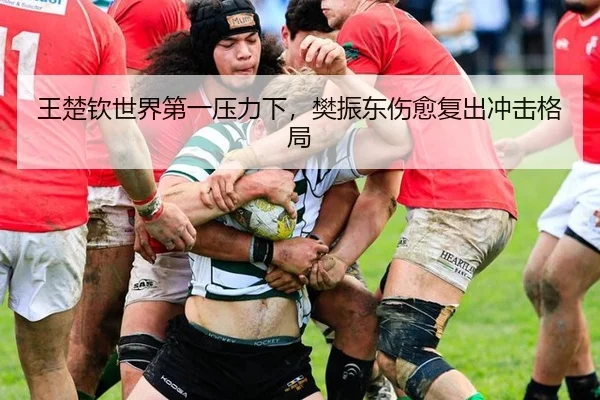 王楚钦世界第一压力下，樊振东伤愈复出冲击格局