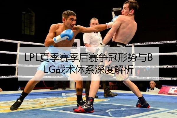 LPL夏季赛季后赛争冠形势与BLG战术体系深度解析